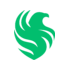 Falcons logo